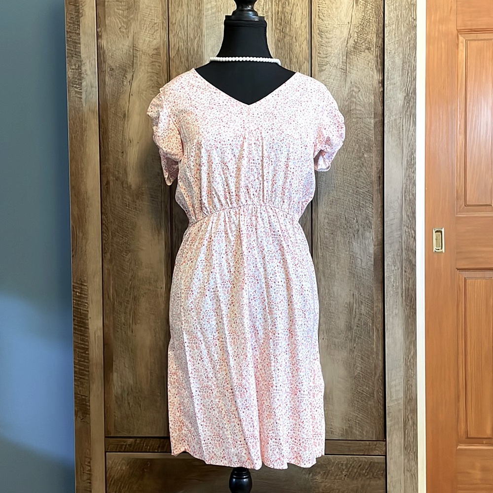 Banana Republic Flora Dress